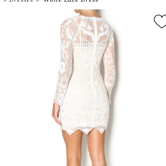 Honey punch lace mini dress - Picture 3 of 5